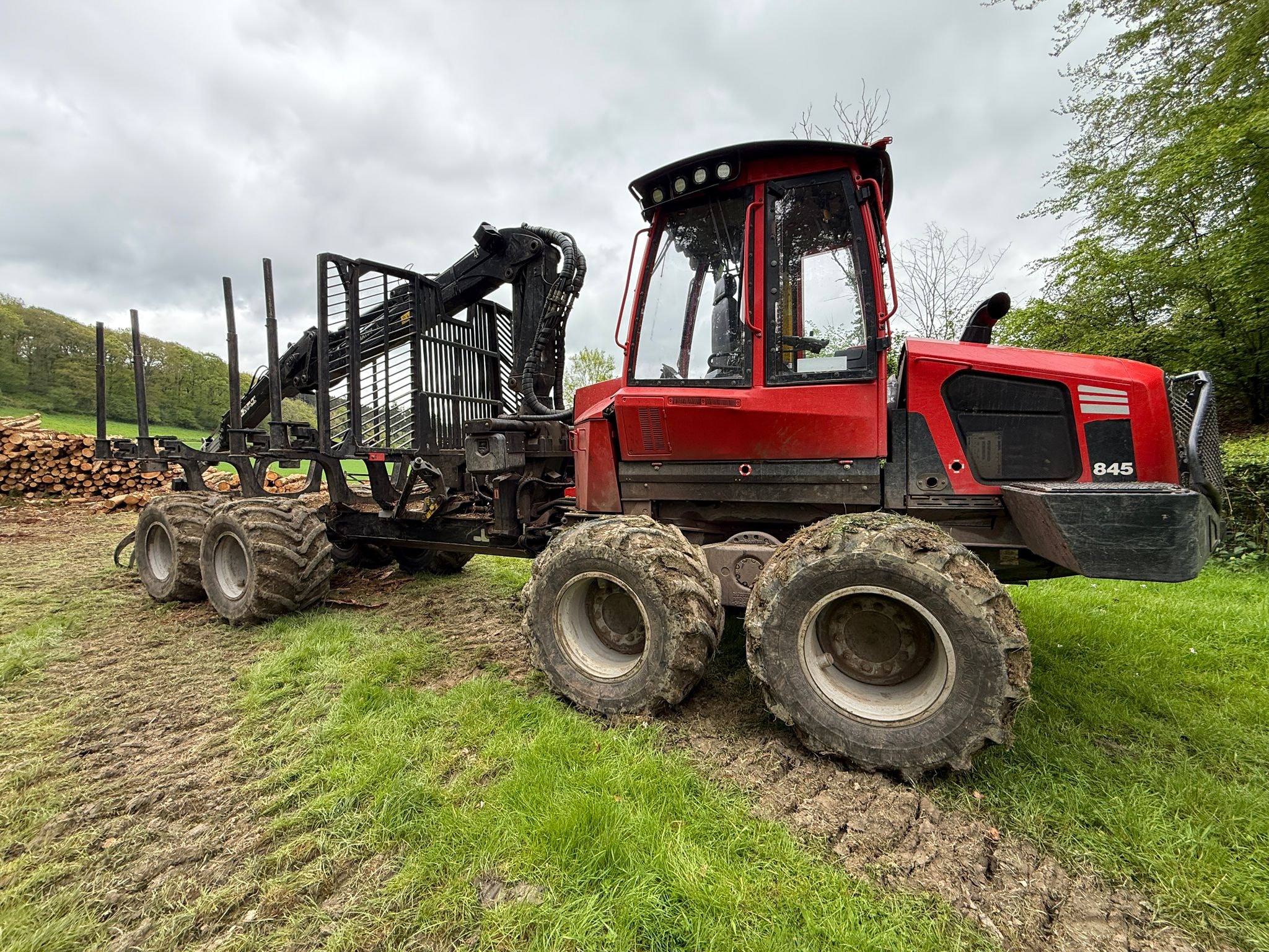 Timber felling in a Scottish woodland